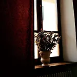 La Stagione Dell'arte * Camaiore